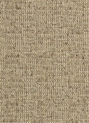Coconut Earth Crypton Fabric