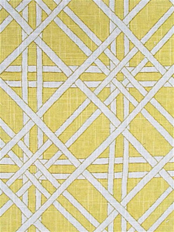 Ashley 8 Daffodil Covington Fabric