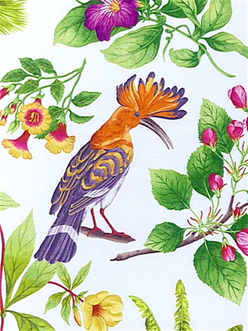 Bel Amour Tropical P Kaufmann Fabric