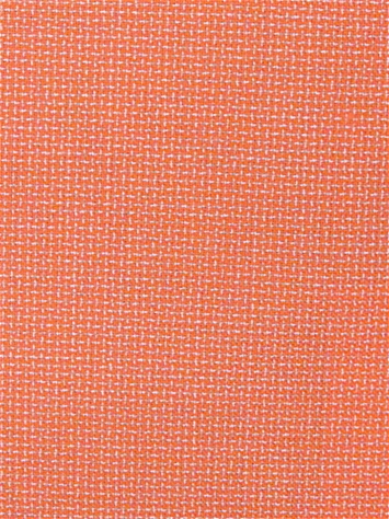 Bliss Guava 48135-0006 Sunbrella Fabric