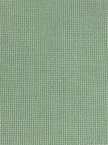 Bliss Aloe 48135-0017 Sunbrella Fabric