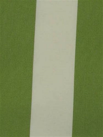 Cabana Lime SunReal Performance Fabric 