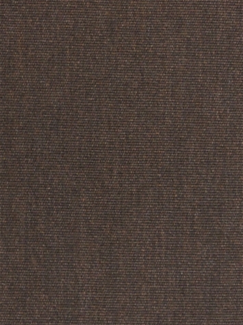 Canvas Java 57014-0000 Sunbrella Fabric