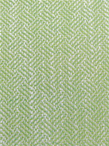 Catskill Celery Bella Dura Fabric