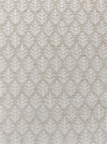 Fern Fair Steam PK Lifestyles Fabric