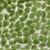 Jelly Beanz 232 Palm Covington Fabric