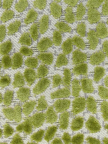 Jelly Beanz 25 Olive Covington Fabric