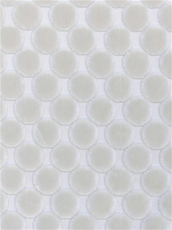 Dance Cloud Regal Fabrics