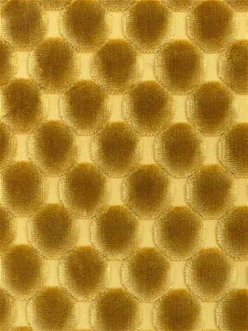 Dance Ochre Regal Fabrics