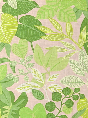 Leaf Jungle 75 Sorbet Hilary Farr Designs by Covington 