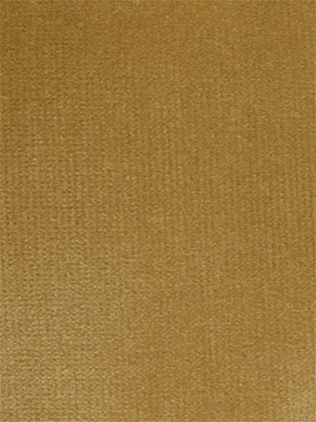 Linden Ambergold Velvet Regal Fabric