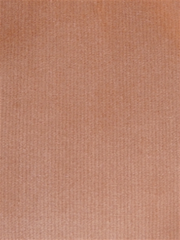 Linden Apricot Velvet Regal Fabric