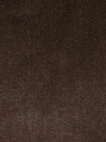 Linden Coffee Velvet Regal Fabric