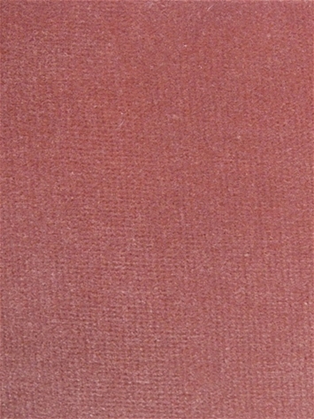 Linden Coral Velvet Regal Fabric 