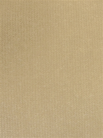 Linden Wheat Velvet Regal Fabric 