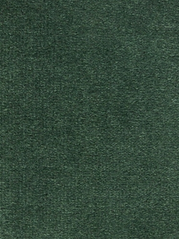 Linden Forest Velvet Regal Fabric 