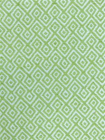 Nisha 206 Greenery Covington Fabric