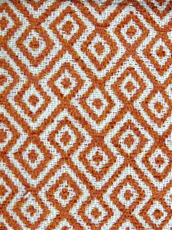 Nisha 318 Persimmon Covington Fabric