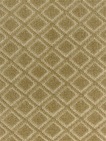 Rare Gem Wheat Chenille PK Lifestyles Fabric