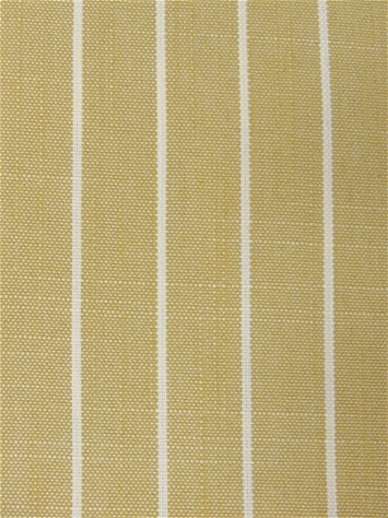 Rhett 805 Curry Covington Fabric