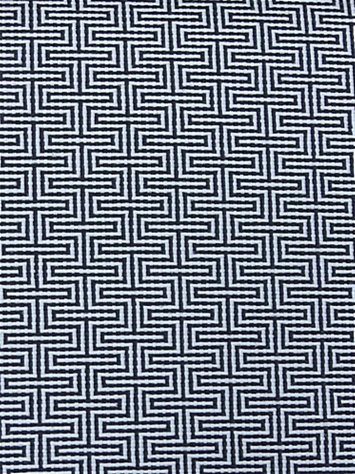SD Detour 916 Ebony/Ivory Covington Outdoor Fabric 