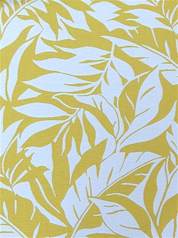 SD Ying Yang 885 Sunshine Outdoor Covington Fabric