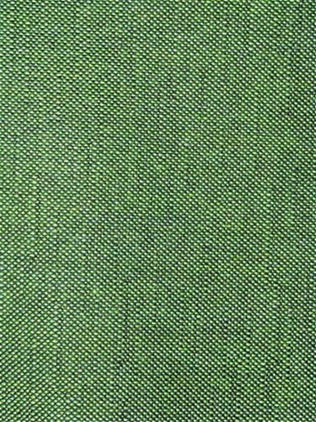 Sunbrella Shelborne Palm Green Fabric