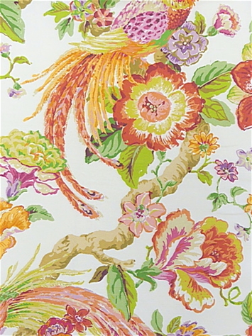 Sissinghurst Tangerine Floral P Kaufmann Fabric