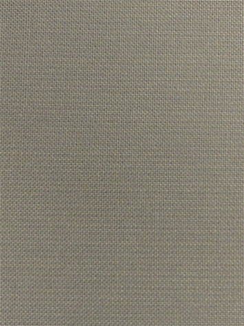 Spectrum Graphite 48030-0000 Sunbrella Fabric