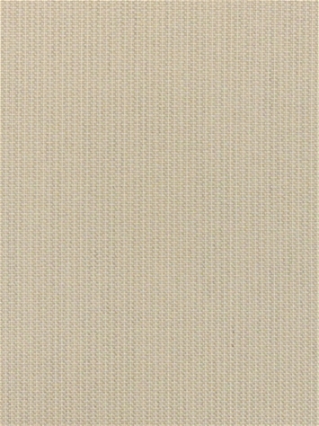 Spectrum Sand 48019-0000 Sunbrella Fabric