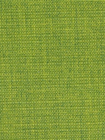 Terrasol OD Living Lime Tempo Fabric 