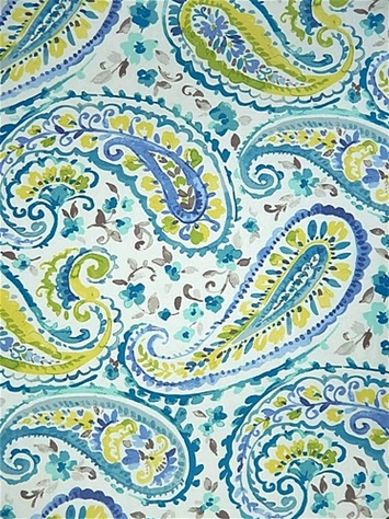 Watercolors Peacock Paisley